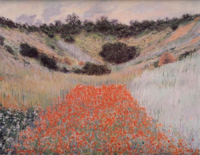 Claude Monet Poppy Field in a Hollow Near Giverny Norge oil painting art